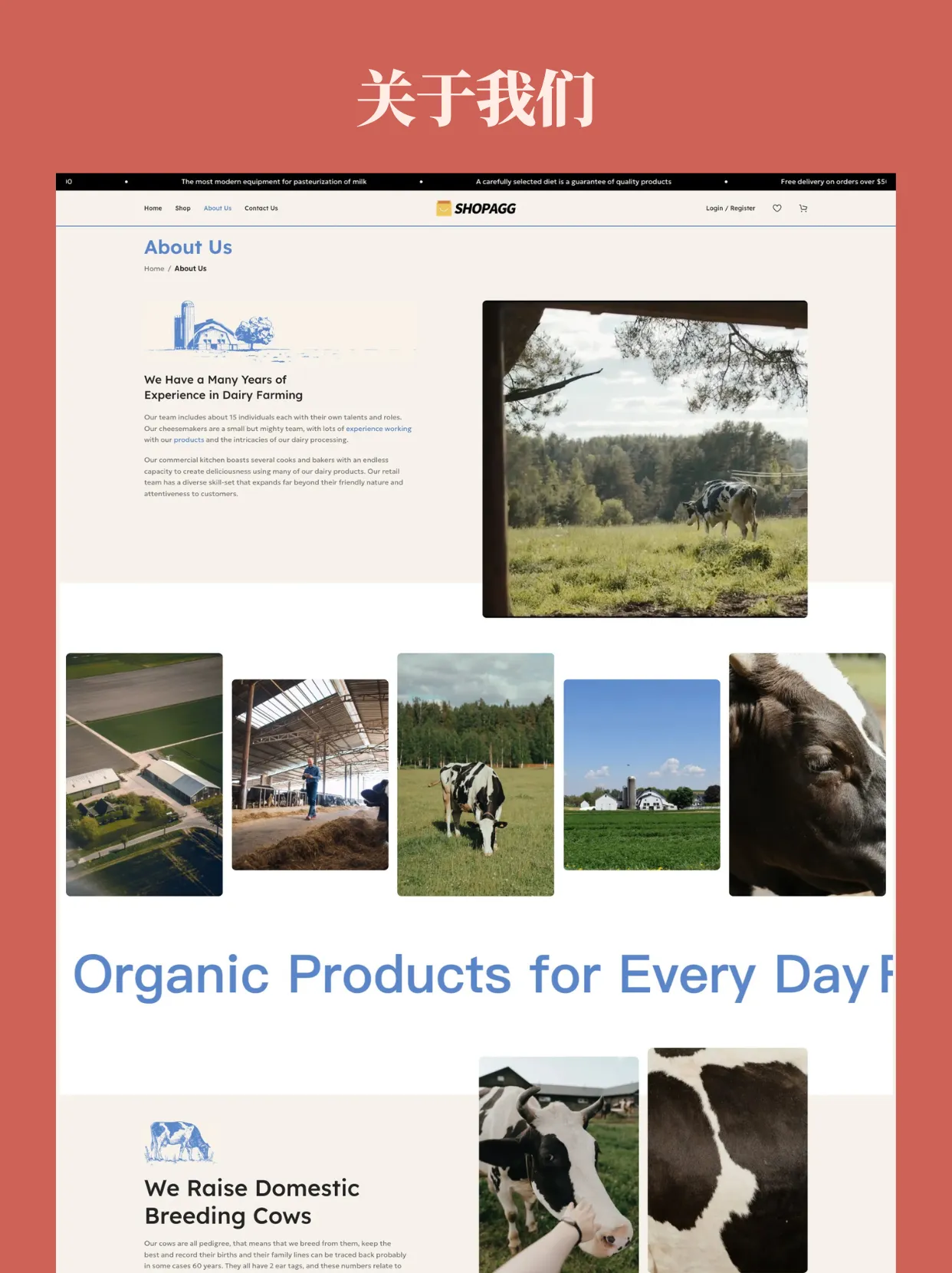 wp030-7 乳制品家庭农场有机食品